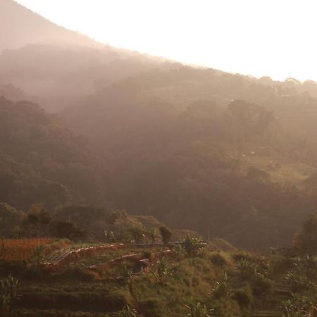 Pondok Kebun Gunung Bedugul  Exterior photo